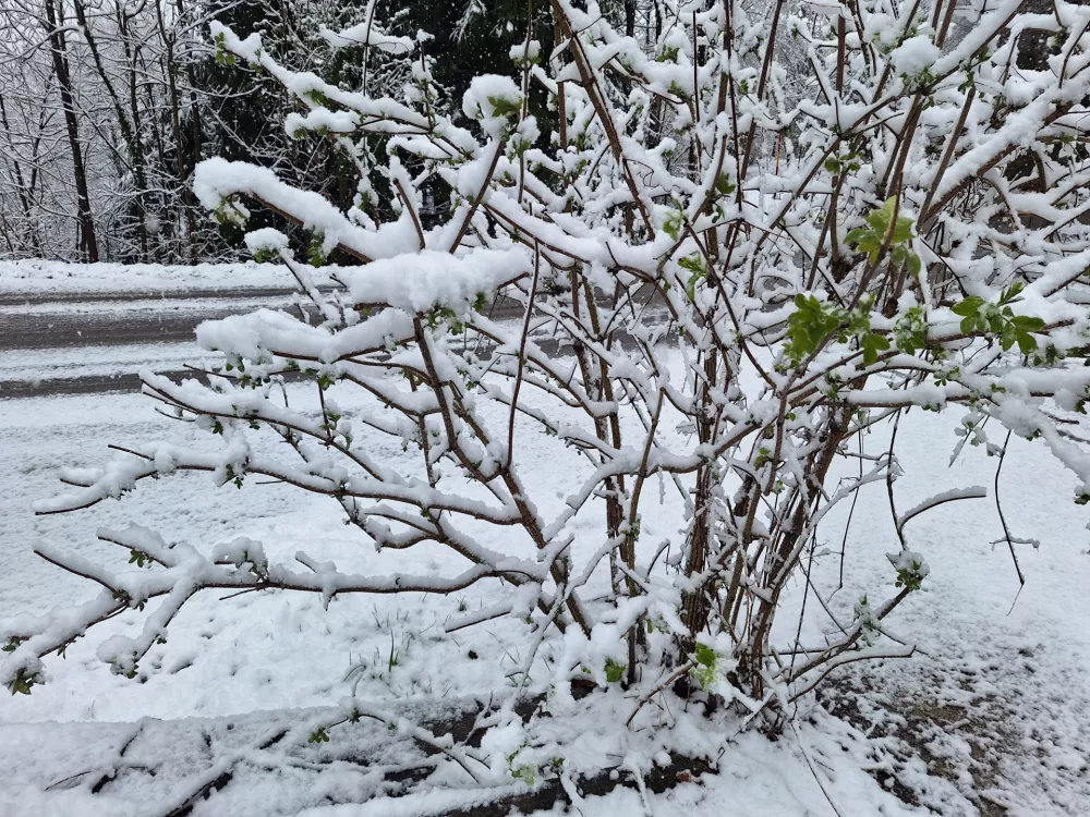 Foto: Danijela Drobnič