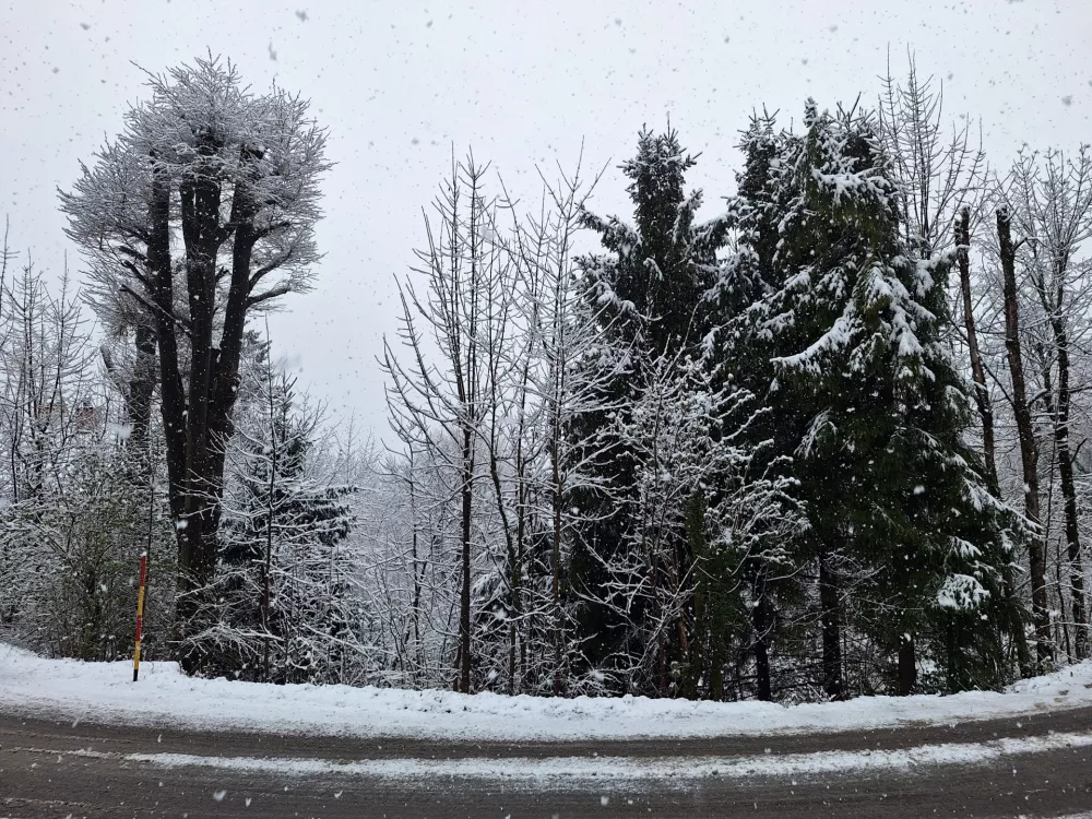 Foto: Danijela Drobnič