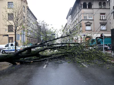 26.03.2026.Zagreb - Nevrijeme i jak vjetar sru&scaron;ili su nekoliko stabala u centru grada te stvorili apsolutni prometni kaos. Photo: Josip Mikacic/PIXSELL