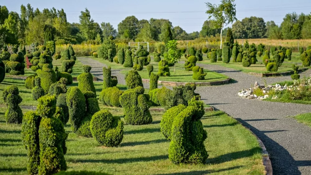 Topiary park v Sračincu pri Varaždinu. Vir: IG