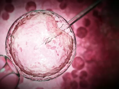 3D illustration of artificial insemination process showings sperms being injected inside the ovule. 3D illustration.,Image: 845750653, License: Royalty-free, Restrictions:, Model Release: noFoto: Profimedia