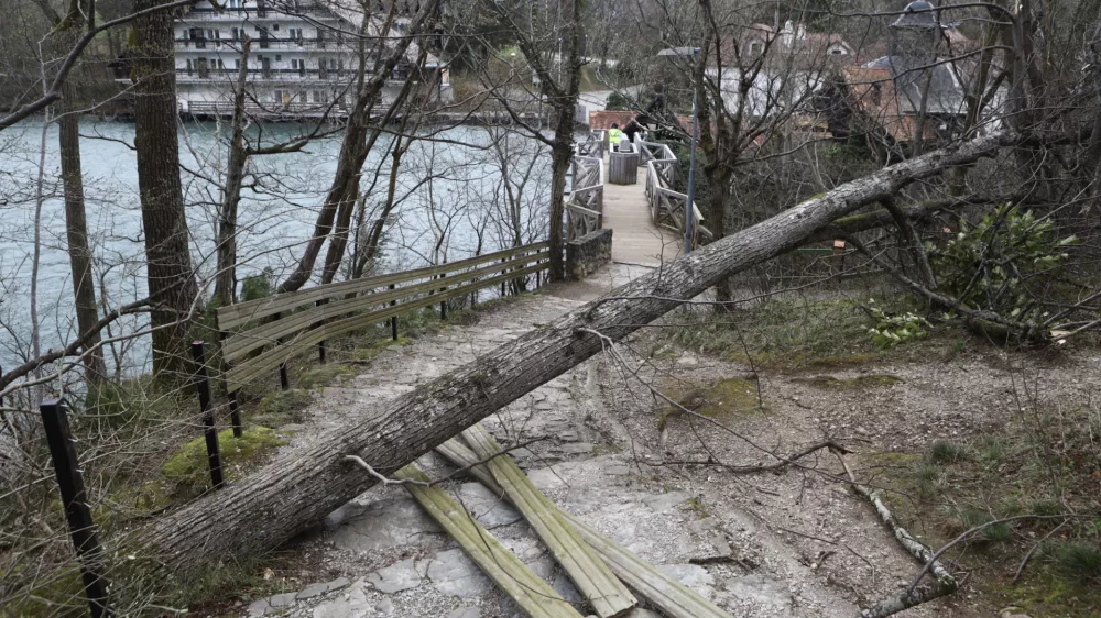 27.3.2026 - Vetrolom - močan veter - rdeči alarmFoto: Luka Cjuha