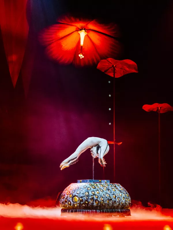 Svetovni fenomen, ki v Ljubljano prihaja z 21 priklopniki, 53 nastopajočimi in petimi kuharji