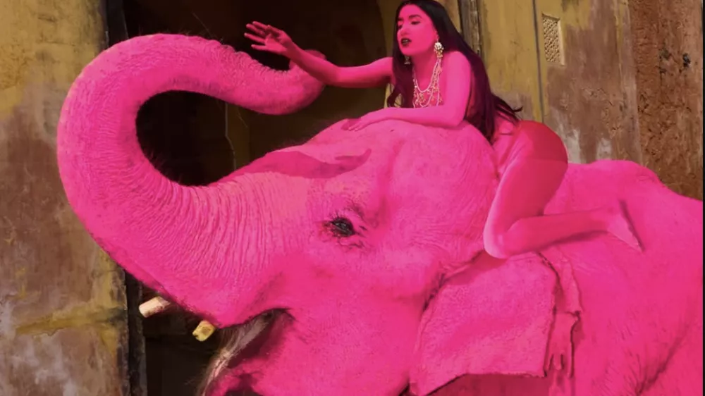 Umetnica je povedala, da slon v nobenem trenutku ni bil ogrožen. Foto: zajem zaslona X