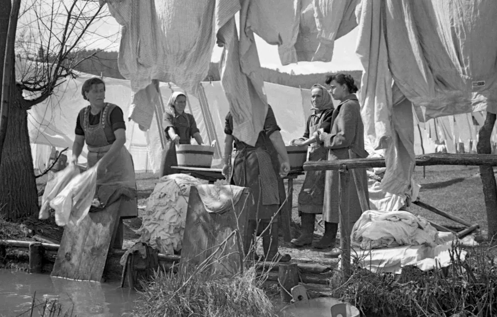 Du&scaron;an Gostinčar, hrani MNSZS. Perice na Bizoviku, junij 1956. 