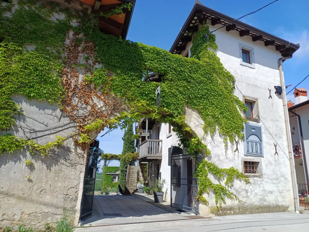Dvor v Kozani, Gori&scaron;ka Brda / Foto: Nata&scaron;a Bucik Ozebek