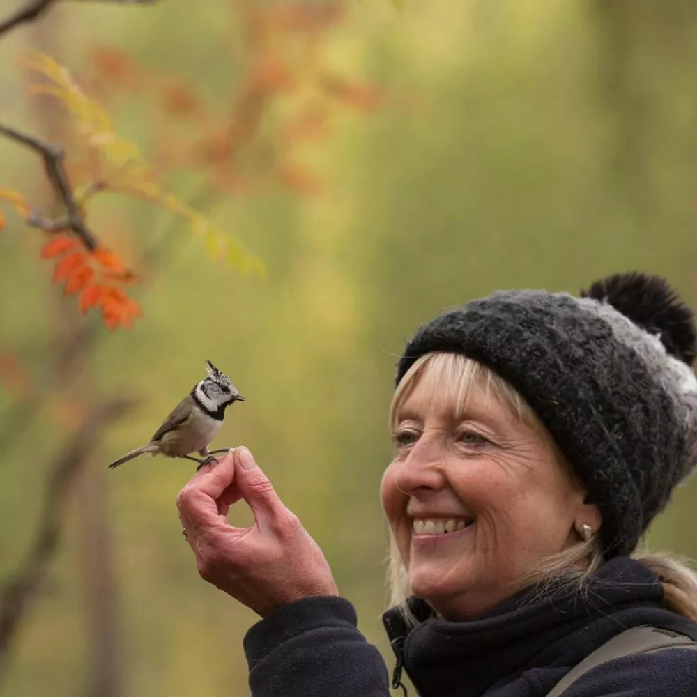 Story from Jam Press (Bird Box Flat)Pictured: Kate MacRae.VIDEO: House about that! Wildlife lover builds bird box that looks like a real flatA wildlife lover has made a bird box that looks like a real flat.Kate MacRae has created&nbsp;the&nbsp;unique design that looks like a miniature home.It features themed bird wallpaper, a TV, shelves and even a framed photo of a blue tit.And so far, it has had several viewings including from great tits, nuthatches and blue tits.But no permanent residents have moved in.Kate hand built the feature at her home near Llandeilo, south Wales.She said she wanted to make something practical and fun."I love finding creative ways to help wildlife," she told&nbsp;creatorzine.com."This nest box was designed and built by me as part of an avian estate agents."I specialise in building a range of nest boxes, where I film the occupants as they raise their families."Every year I build a furnished box with doll's house furniture."I aim to educate and enthuse people about the amazing wildlife we have visiting our gardens."And this kind of box attracts people to my work, who would not normally be interested in watching nest box footage."I've mounted cameras inside and am hoping for residents."Posting a video on Instagram yesterday (Mar 29) of the flat receiving a viewing, Kate wrote: "I've lowered the rent on this furnished property and this great tit has viewed the property twice in one day."Has asked if they could change the picture on the wall."I really hope someone takes on this beautiful apartment (because it took blooming ages to make!)."Come on great tits&hellip; it's perfect for you!"Viewers have praised the design, with many commenting on its realistic appearance and charm.One person said: "I'm not joking, you could rent this out for Ł1,000 a month in Bournemouth and call it a small studio flat."Someone else added: "Well, I'll take it if they don't."While a third person said: "That is amazing."I love it so much."Known as WildlifeKate she has been featured on BBC Springwatch, Countryfile and The One Show among others.The nest box will join her live stream cameras which people can watch.ENDSEDITOR'S NOTE:&nbsp;Video Usage Licence: (NON-EXCLUSIVE) We have obtained a non-exclusive licence from the copyright holder. A copy of the licence is available on request.Video Restrictions: None.,Image: 1087675410, License: Rights-managed, Restrictions: EDITOR'S NOTE:&nbsp;Video Usage Licence: (NON-EXCLUSIVE) We have obtained a non-exclusive licence from the copyright holder. A copy of the licence is available on request.Video Restrictions: None., Model Release: no