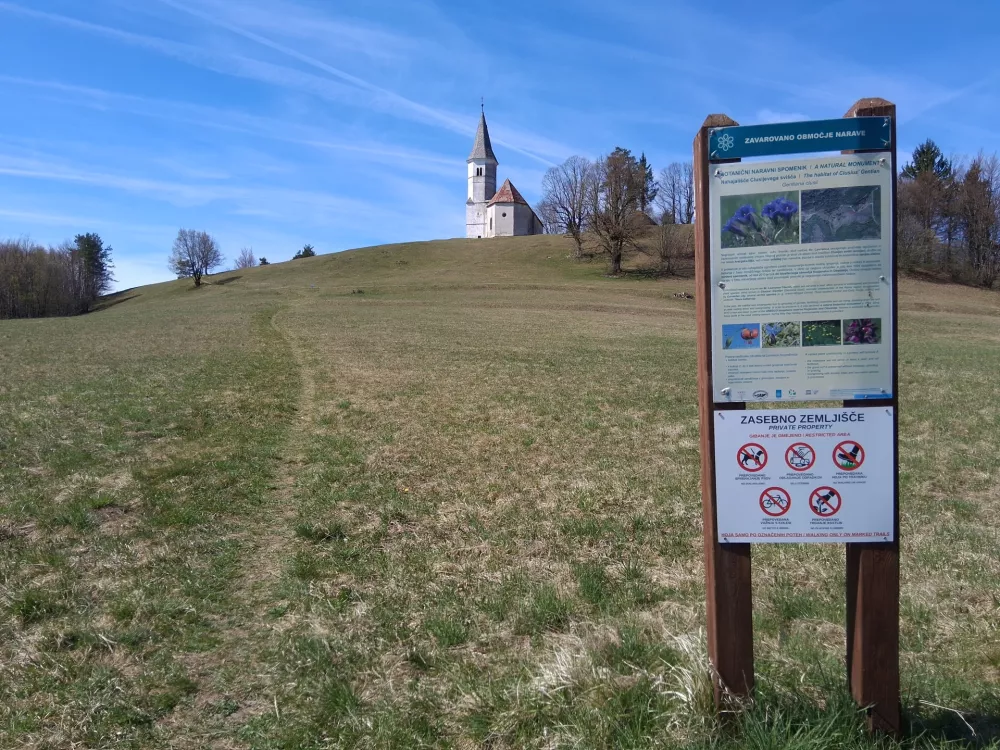 sveti lovrenc encijan / Foto: Katja Petrovec 