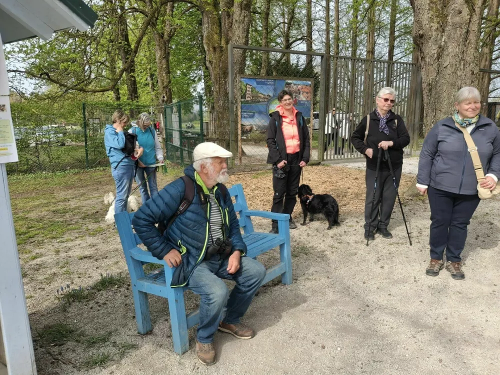 Modra klop ima poseben pomen. Arboretum Volčji potok / Foto: Meta Černoga