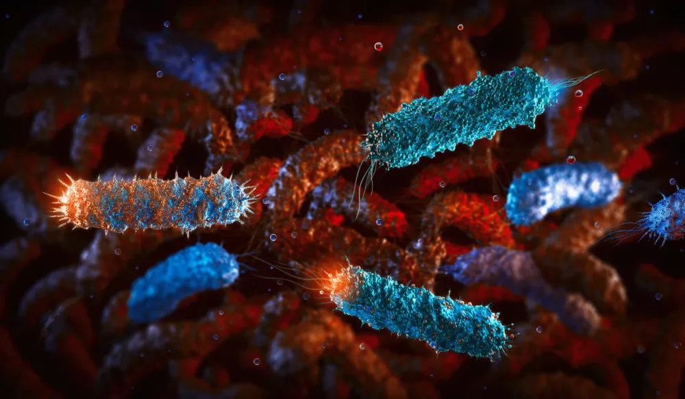 Bakterije so lahko pravo smrtonosno orožje. / Foto: Istock