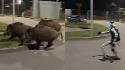 Robot preganja divje pra&scaron;iče