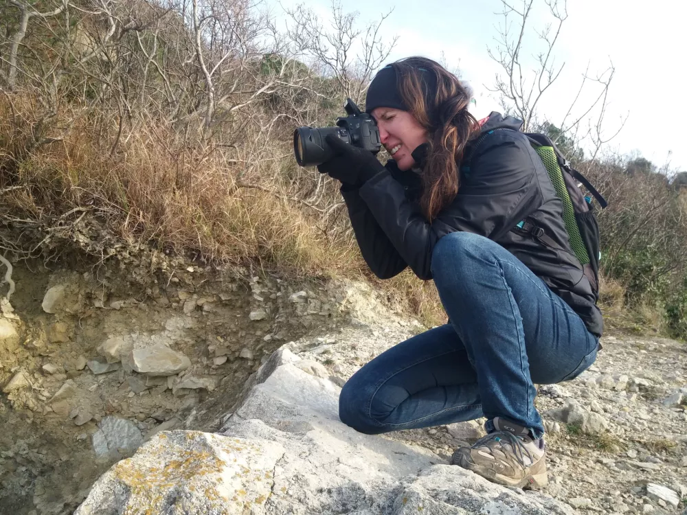 Ptičje vragolije v gnezdih po mestu
