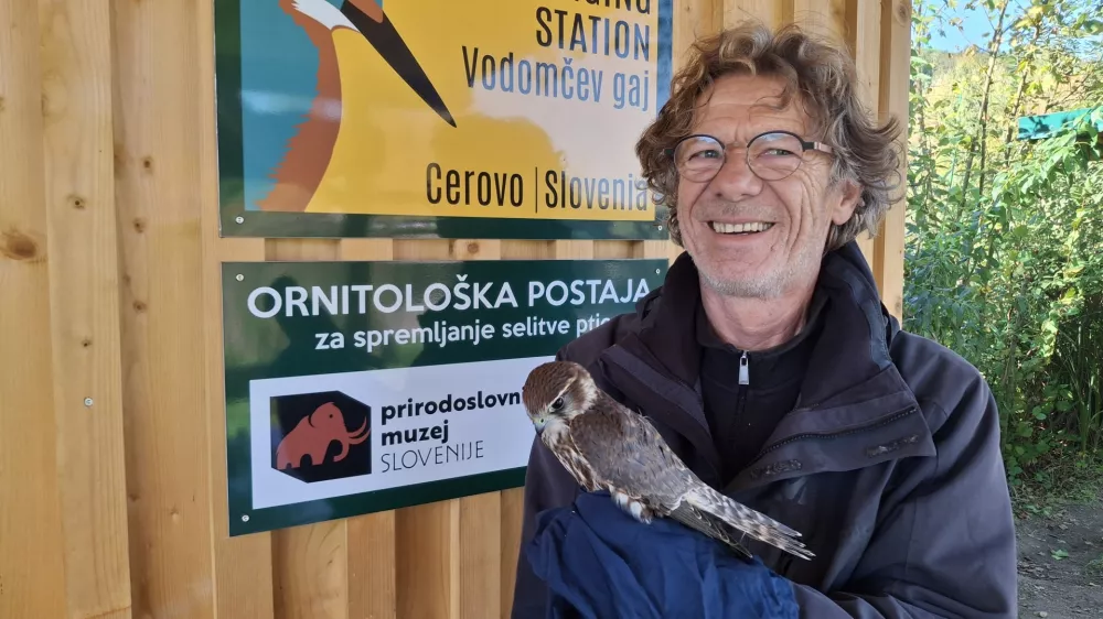 Ptičje vragolije v gnezdih po mestu