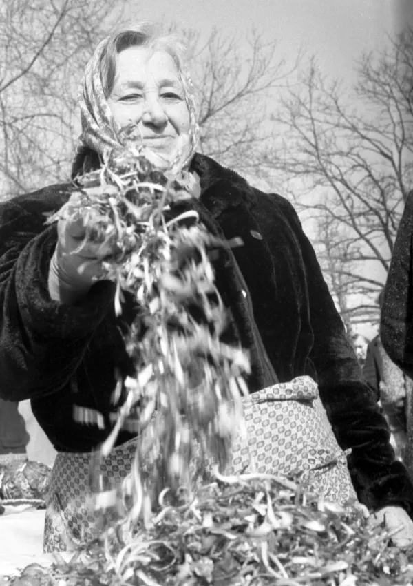 Regrat &ndash; sveža pomladna zelenjava s tržnice / Foto: Marjan Ciglič, Hrani: Muzej Novej&scaron;e In Sodobne Zgodovine Slovenije