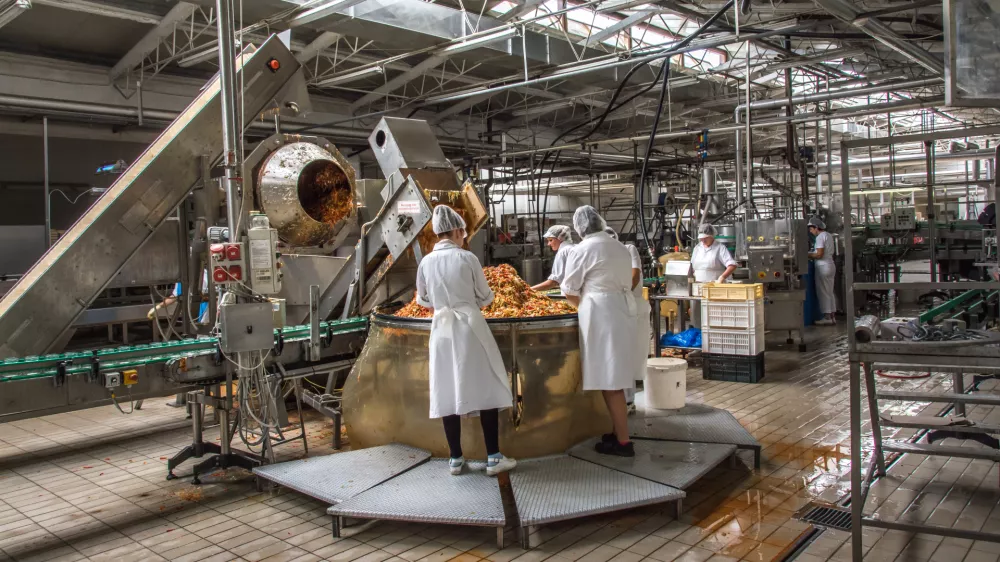 Proizvodnja v Eta Kamnik