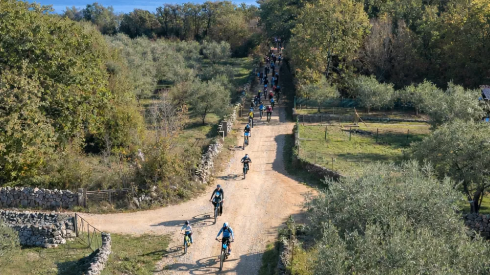 Foto: Arhiv TZ otoka Krka