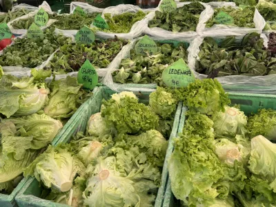 Bogata izbira solate na centralni tržnici