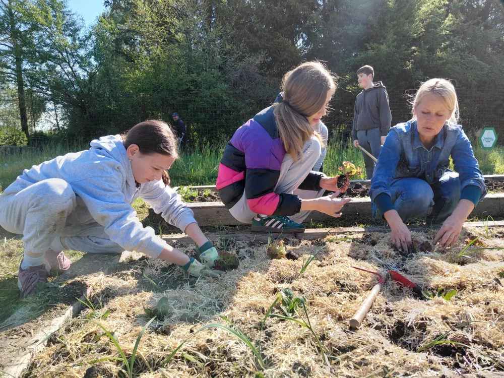 Učenke so pod strokovnim vodstvom agronomke Jerneja Jo&scaron;ar, ki sodeluje v projektu, posadile čebulico in solato. Foto: Vesna Levičnik
