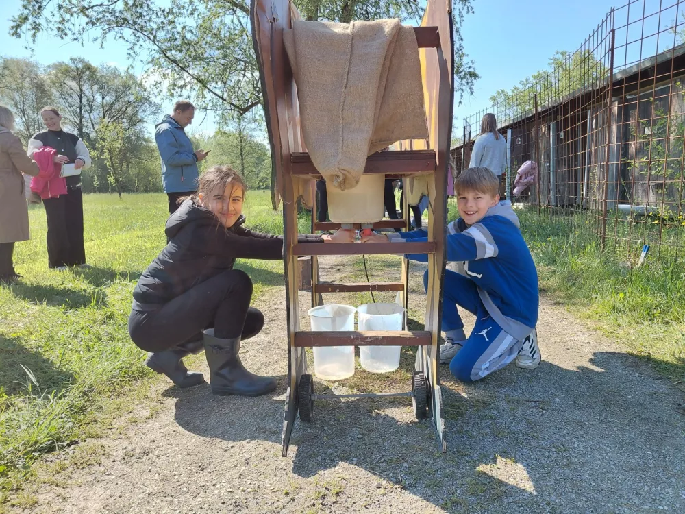 So&scaron;olci in so&scaron;olke so se med sabo pomerili v molži krave- Foto: Vesna Levičnik