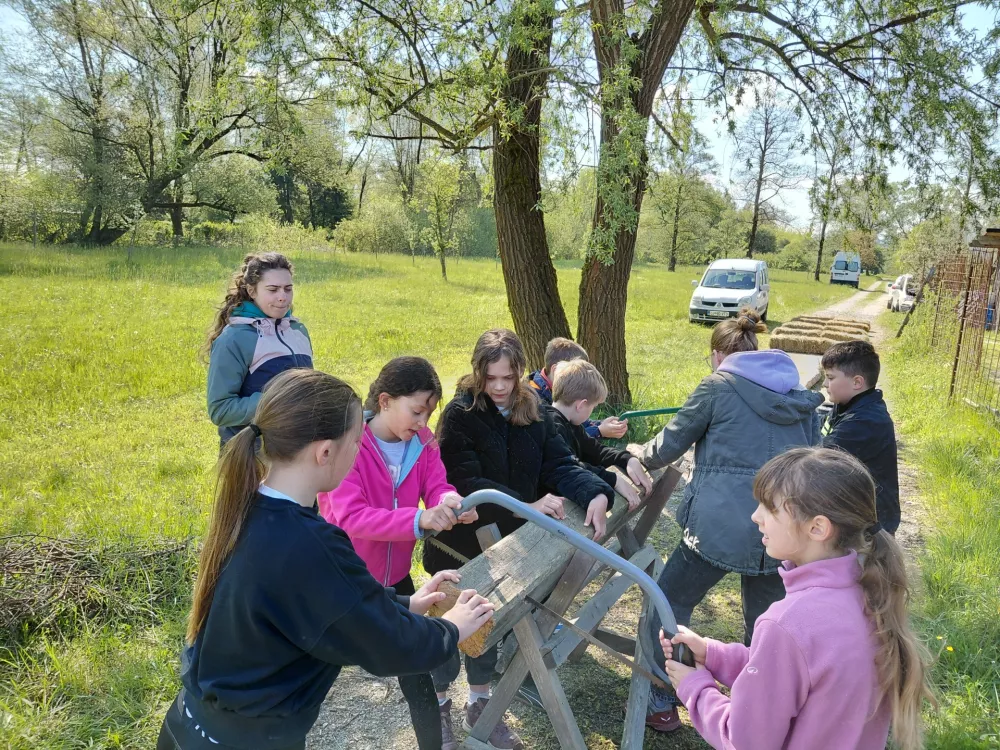 V okviru kmečkih iger so učenci sodelovali tudi v hitrostnem žaganju hloda. Foto: Vesna Levičnik
