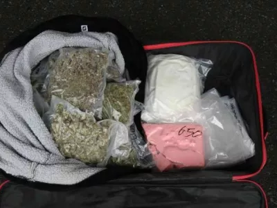 zaseg različnih vrst droge