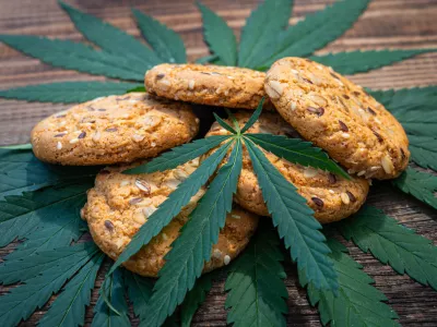 Cookies with cannabis and buds of marijuana on the table. A can of cannabis buds CBD Concept of cooking with cannabis herb. - Medical Legal Marijuana / Foto: Diy13