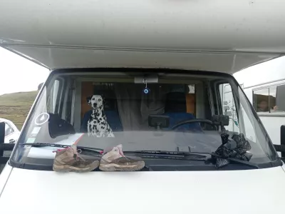 Pes dalmatinec v avtodomu. 