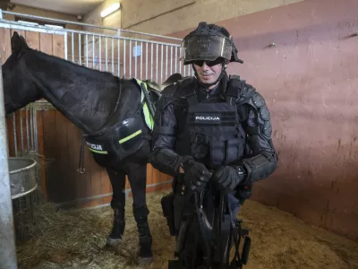- 11.10.2024 - dan odprtih vrat Postaje konjeni&scaron;ke policije Ljubljana ob 50-letnici ustanovitve, na katerem so si obiskovalci lahko ogledali policijske konje in opremo, ter potek oskrbe in kak&scaron;no je delo s konji v policiji nasploh //FOTO: Jaka Gasar