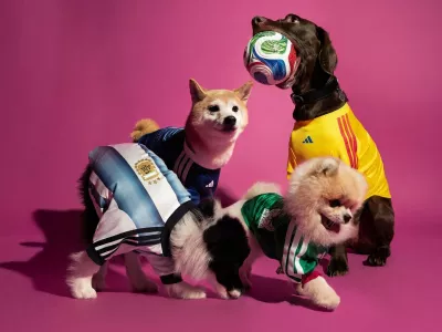 Ferrari Press AgencyWorld Cup 1Ref 1776628/04/2026See Ferrari textPictures must credit: adidasFootball and dog fans can gear up for the forthcoming FIFA World Cup &mdash; with a range of kits for their pet pooches.German sportswear brand adidas is releasing outfits centred around four of the major national teams at the tournament &mdash; holders Argentina, Mexico, Colombia and Japan.They take the firm of the team shirts complete with national association badges.The tailored garments are said to be engineered to deliver a comfortable fit across a variety of pet sizesRather than simply scaling down the patterns, the garments are structurally designed from the ground up to accommodate the anatomy of four-legged supporters.A spokesman explained: "&nbsp;The pet jerseys mirror the design language of the FIFA World Cup 2026 home kits, which combine historic visual identities and traditions with a modern, forward-looking aesthetic."Designed specifically for four-legged supporters, the jerseys feature a heat-transferred federation crest and adidas logo, delivering a clean, premium finish while ensuring a comfortable fit for pets of different sizes."The adidas 2026 FIFA World Cup Pet Collection drops May 1 across North America, Latin America, Japan, China, Vietnam, the Philippines, and Indonesia.The tournament kicks off in the USA on June 11, the co-host country along with Mexico and Canada.OPS: The adidas FIFA World Cup 2026 pet collection features the blue and white stripes of Argentina, yellow of Colombia, blue of Japan and green of Mexico.Picture supplied by Ferrari,Image: 1094995025, License: Rights-managed, Restrictions:, Model Release: no
