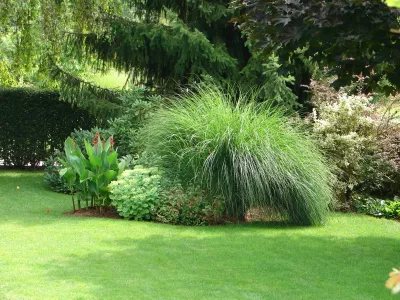 Lepo negovana in zelena trava