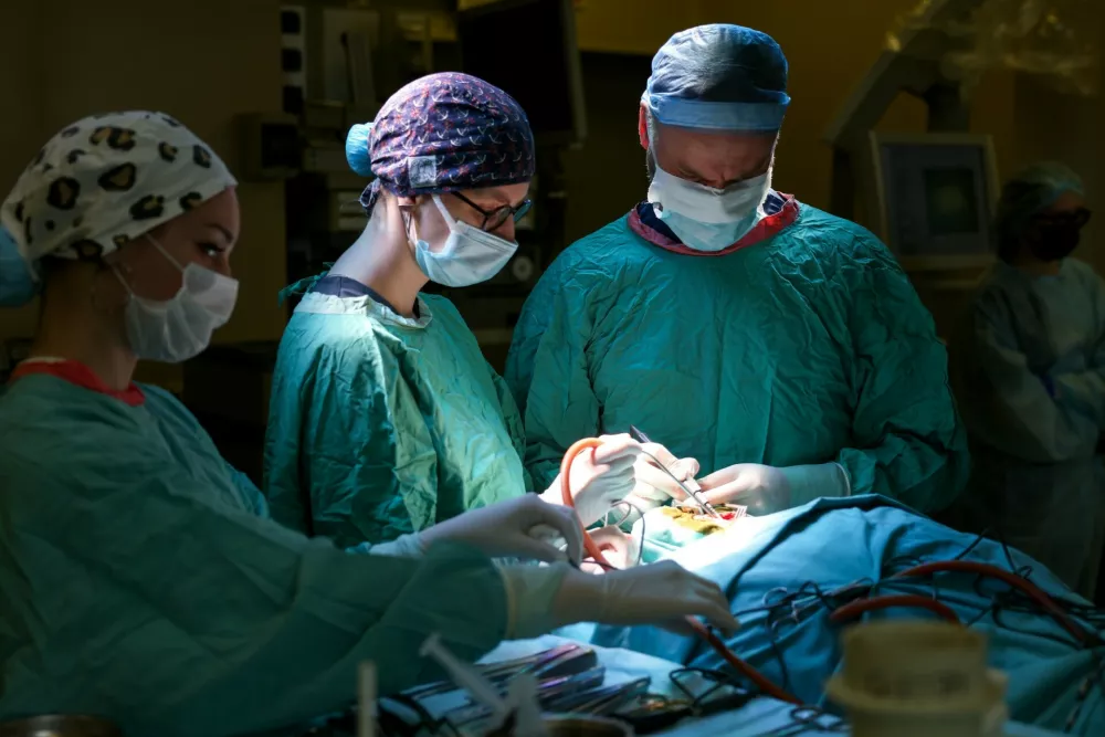 RUSSIA, MOSCOW - APRIL 7, 2026: Neurosurgeon Dmitry Kopachev (R), head of the neurosurgery department, performs an operation at Doctor Roshal's Hospital (Emergency Children's Surgery and Traumatology Research Institute,Image: 1089688457, License: Rights-managed, Restrictions: * Switzerland And Russia Rights Out *, Model Release: no