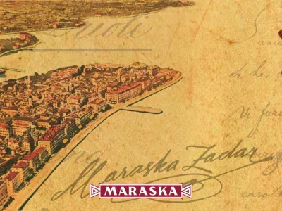 Kapljica zgodovina: kako je majhna dalmatinska vi&scaron;nja osvojila svetovne dvore
