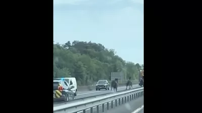 Konji na avtocesti / Foto: Zajem Zaslona/youtube