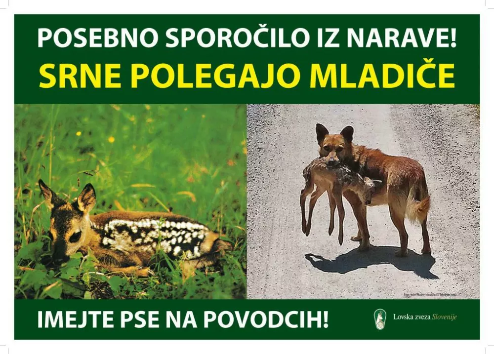 Opozorilni napisi lovske zveze