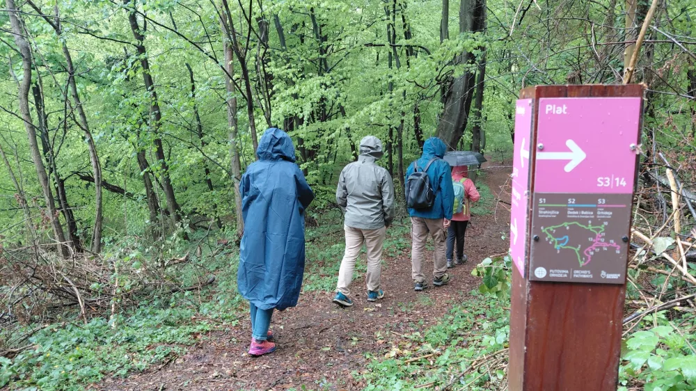 Gozdne terapije potekajo po označenih poteh in vso vodene v manj&scaron;ih skupinah