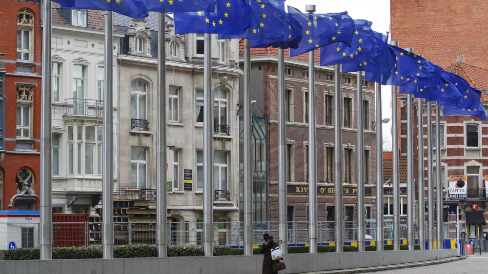 A woman walks past EU flags outside the European Commission headquarters in Brussels November 27, 2009. European Commission President Jose Manuel Barroso presented on Friday his new team of EU commissioners.  REUTERS/Yves Herman (BELGIUM POLITICS)