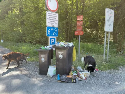 Smeti v I&scaron;kem vintgarju. F Vesna Levičnik