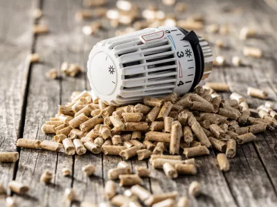 Wooden pellets and thermostatic head.