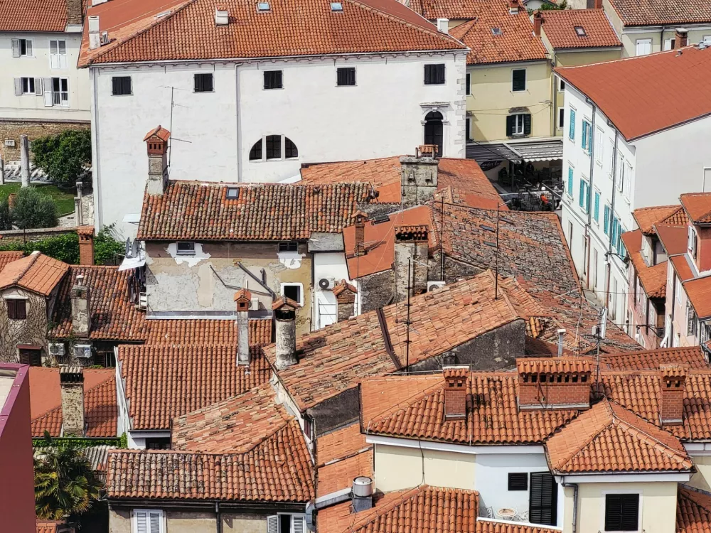 dimniki bene&scaron;ki koper / Foto: Katja Gle&scaron;čič 