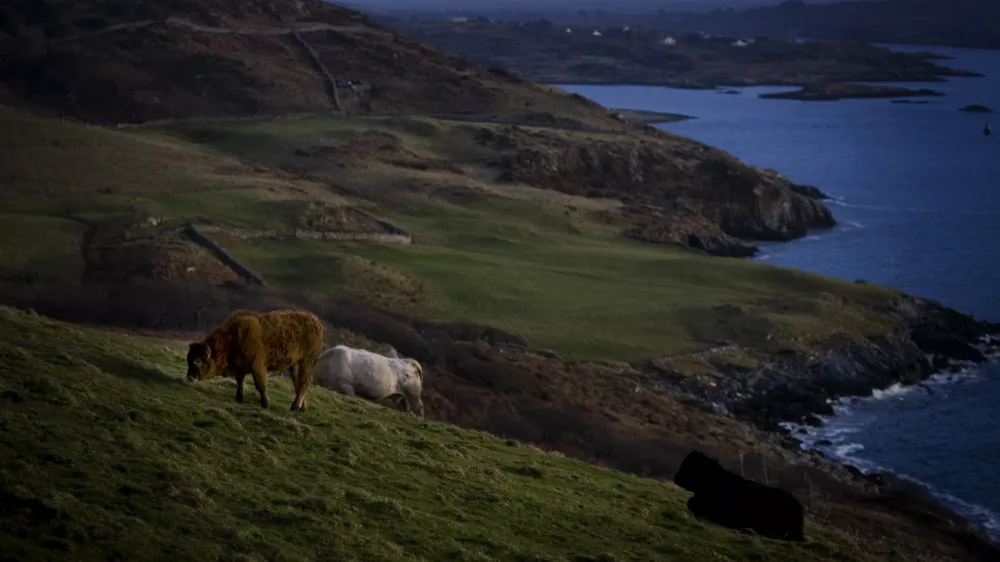 - IRSKA 2011 -Galway, /FOTO: Bojan Velikonja OPOMBA: ZA OBJAVO V PRILOGI &ndash; DNEVNIKOV OBJEKTIV - REPORTAŽA