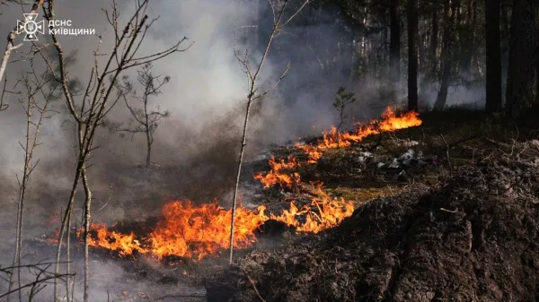 In this photo provided by the Ukrainian Emergency Service, a forest fire burning in the exclusion zone around the Chernobyl nuclear power plant, Ukraine, Friday, May 8, 2026. (Ukrainian Emergency Service via AP)