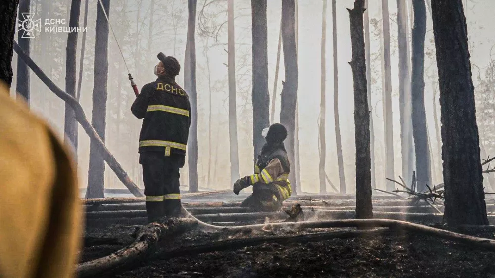 In this photo provided by the Ukrainian Emergency Service, firefighters put out a forest fire burning in the exclusion zone around the Chernobyl nuclear power plant, Ukraine, Friday, May 8, 2026. (Ukrainian Emergency Service via AP)