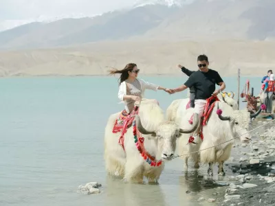 KIZILSU, CHINA - MAY 06: Tourists ride yaks at Baisha Lake scenic area on May 06, 2026 in Kizilsu Kyrgyz Autonomous Prefecture, Xinjiang Uygur Autonomous Region of China. Copyright: xVCGx 111640379766,Image: 1097823982, License: Rights-managed, Restrictions: imago is entitled to issue a simple usage license at the time of provision. Personality and trademark rights as well as copyright laws regarding art-works shown must be observed. Commercial use at your own risk.;PUBLICATIONxNOTxINxCHN, Model Release: no