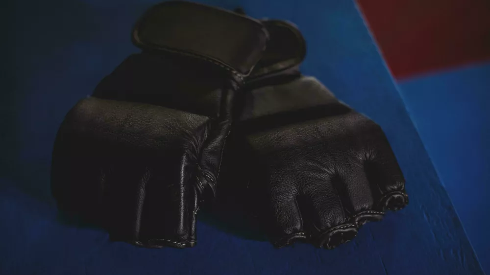 HA7E25 Pair of mma gloves