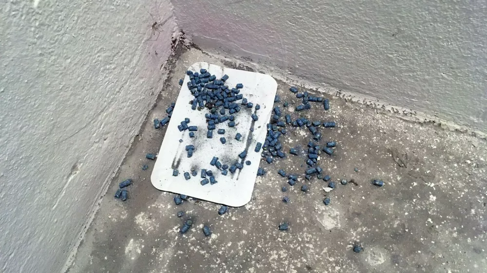 Foto: Profimedia