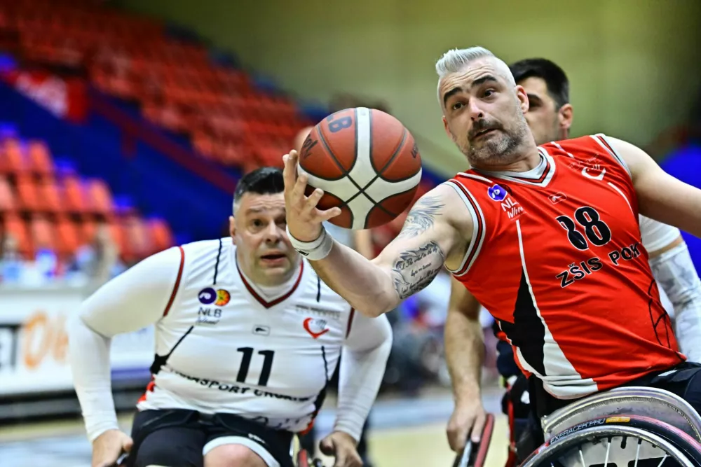 Milan Slapničar, ko&scaron;arka v vozičku