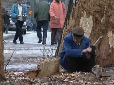 Sarajevo safari