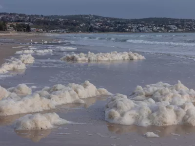 An algae bloom caused by Karenia mikimotoi off Brighton, South Australia, forming surface foam and harming marine life. This toxic algae depletes oxygen and can cause fish and invertebrate deaths, often turning the water reddish-brown during warm, nutrient-rich conditions.