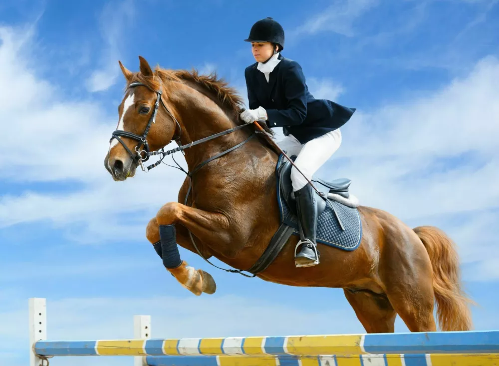Young girl jumping with sorrel horse / Foto: Abramova_kseniya