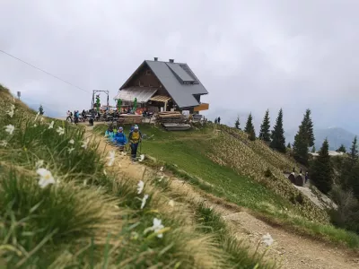Koča na Golici, Golica, narcise